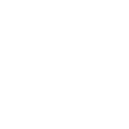 Wheelchair W
